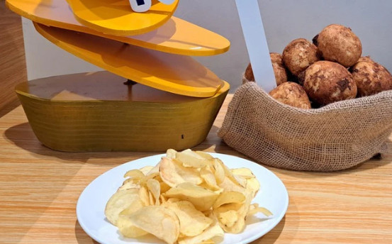 Trồng khoai tây làm snack, nông dân lãi đến 100 triệu đồng/ha