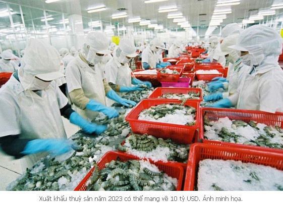 Thêm 23 doanh nghiệp thủy sản được xuất khẩu vào Trung Quốc